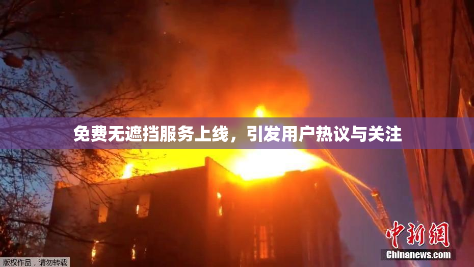 免费无遮挡服务上线，引发用户热议与关注