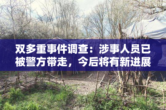 双多重事件调查：涉事人员已被警方带走，今后将有新进展。