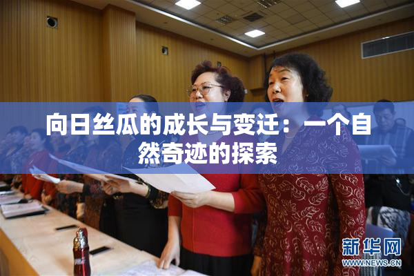 向日丝瓜的成长与变迁：一个自然奇迹的探索