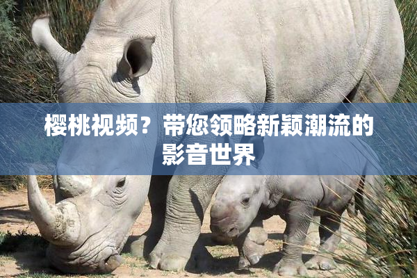 樱桃视频？带您领略新颖潮流的影音世界