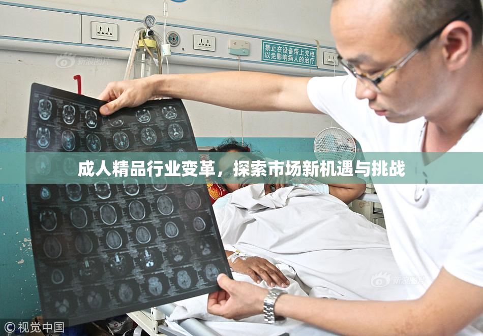 成人精品行业变革，探索市场新机遇与挑战