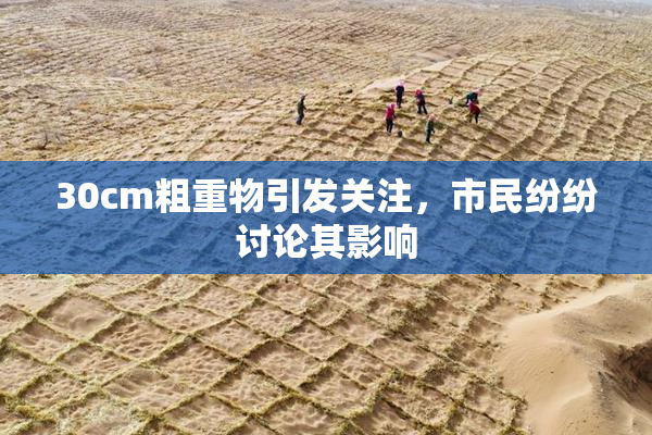 30cm粗重物引发关注，市民纷纷讨论其影响