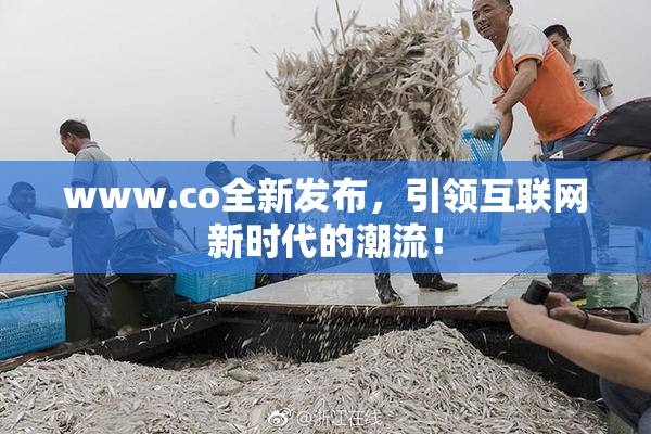 www.co全新发布，引领互联网新时代的潮流！