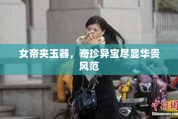 女帝夹玉器，奇珍异宝尽显华贵风范