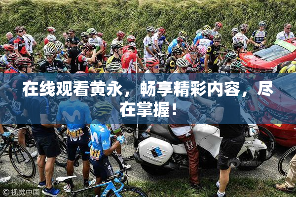 在线观看黄永，畅享精彩内容，尽在掌握！