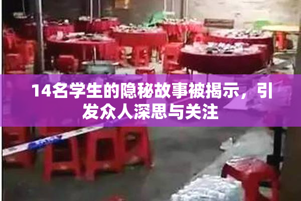 14名学生的隐秘故事被揭示，引发众人深思与关注