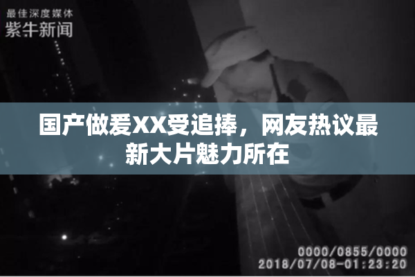 国产做爰XX受追捧，网友热议最新大片魅力所在