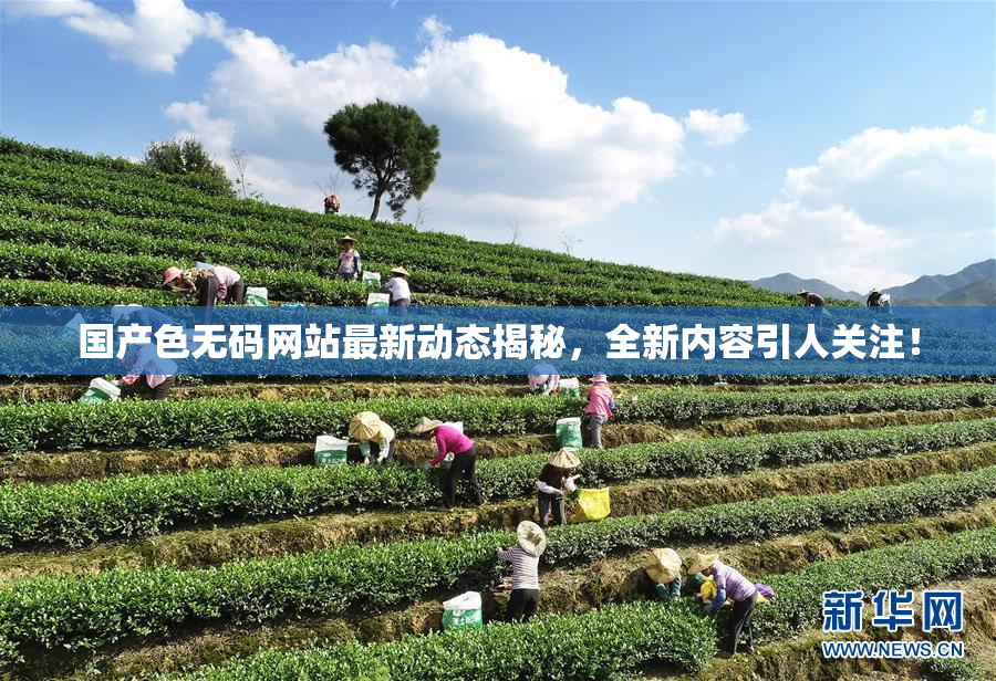 国产色无码网站最新动态揭秘，全新内容引人关注！