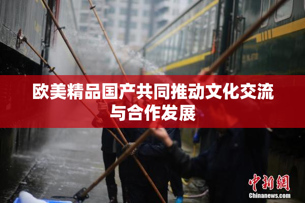 欧美精品国产共同推动文化交流与合作发展