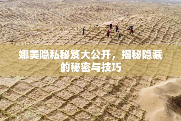 娜美隐私秘笈大公开，揭秘隐藏的秘密与技巧