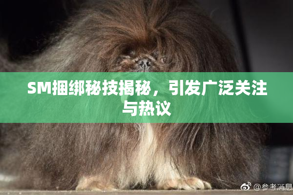 SM捆绑秘技揭秘，引发广泛关注与热议