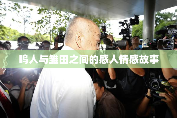鸣人与雏田之间的感人情感故事