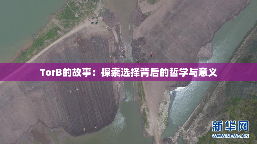 TorB的故事：探索选择背后的哲学与意义
