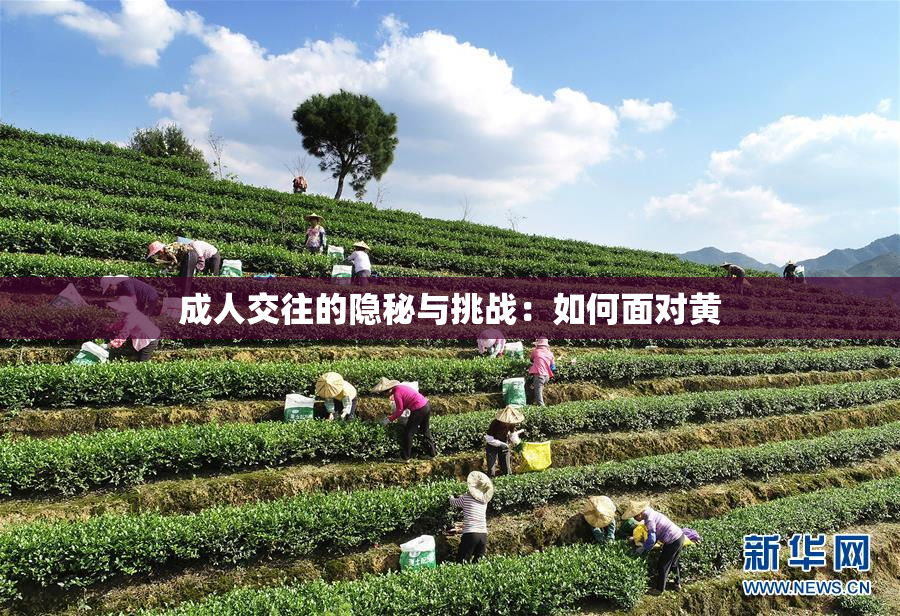 成人交往的隐秘与挑战：如何面对黄