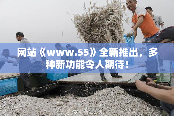 网站《www.55》全新推出，多种新功能令人期待！