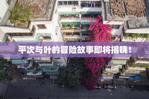 平次与叶的冒险故事即将揭晓！
