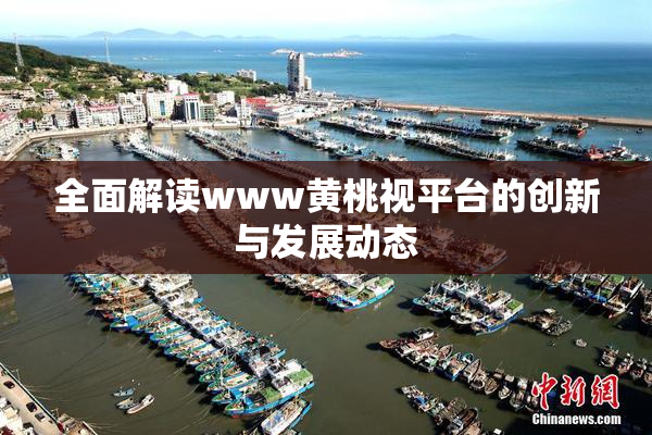 全面解读www黄桃视平台的创新与发展动态