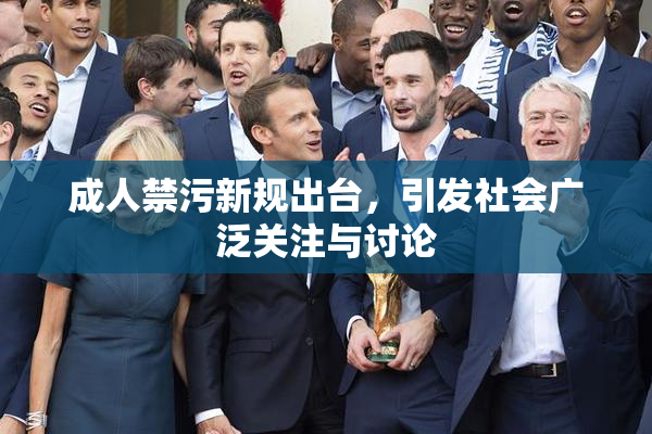 成人禁污新规出台，引发社会广泛关注与讨论
