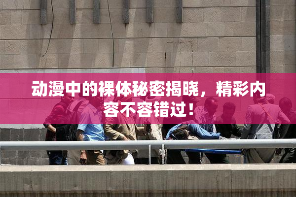 动漫中的裸体秘密揭晓，精彩内容不容错过！