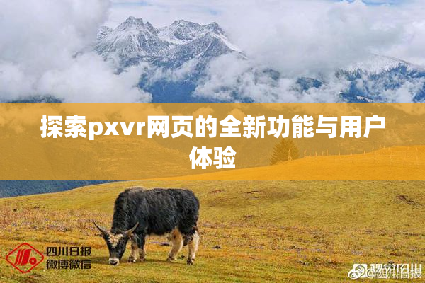 探索pxvr网页的全新功能与用户体验