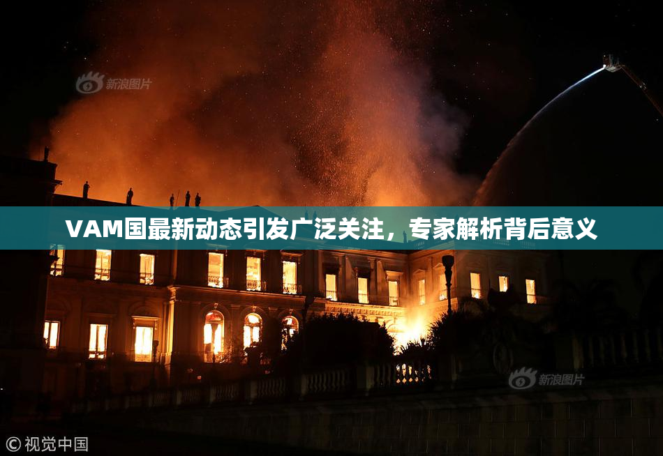VAM国最新动态引发广泛关注，专家解析背后意义