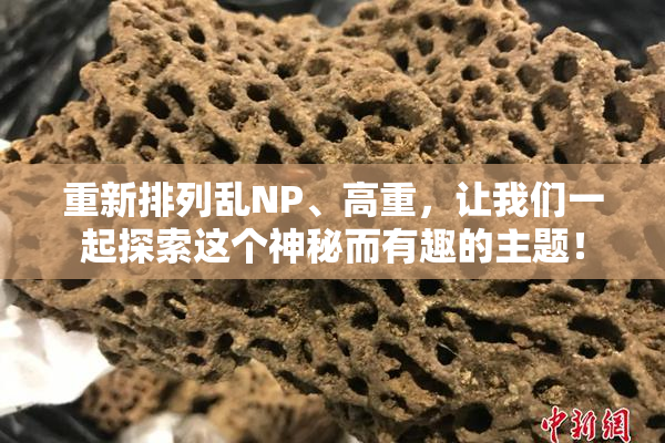 重新排列乱NP、高重，让我们一起探索这个神秘而有趣的主题！
