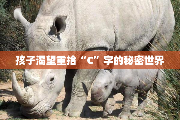 孩子渴望重拾“C”字的秘密世界