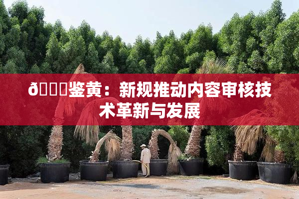 🔞鉴黄：新规推动内容审核技术革新与发展