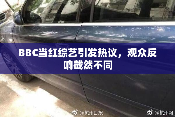 BBC当红综艺引发热议，观众反响截然不同