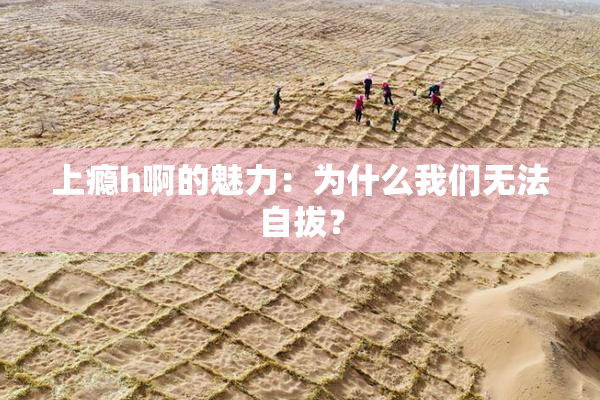 上瘾h啊的魅力：为什么我们无法自拔？
