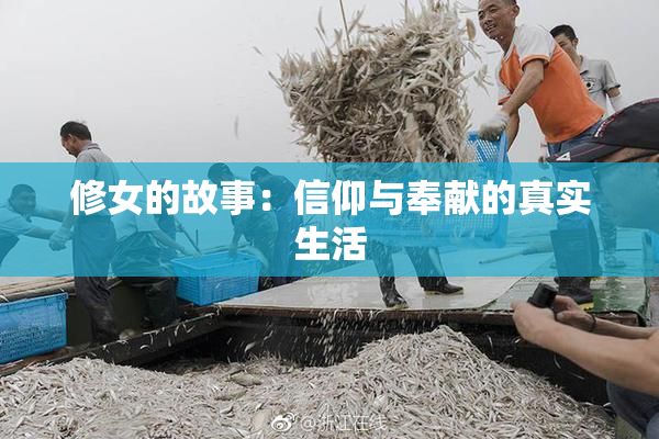 修女的故事：信仰与奉献的真实生活