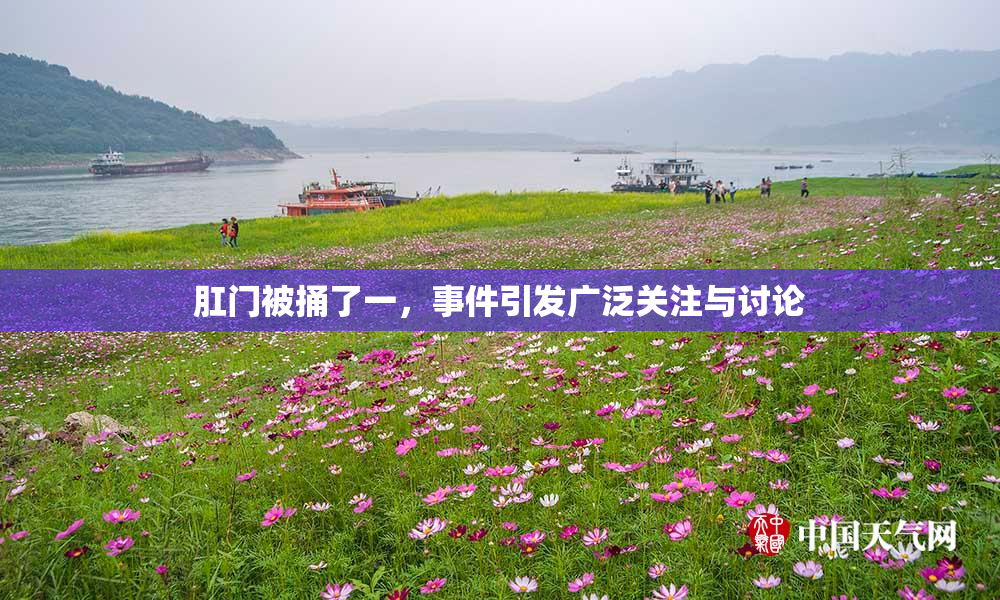 肛门被捅了一，事件引发广泛关注与讨论