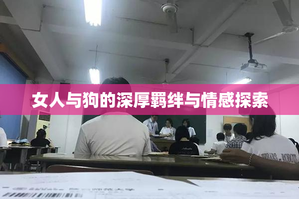 女人与狗的深厚羁绊与情感探索