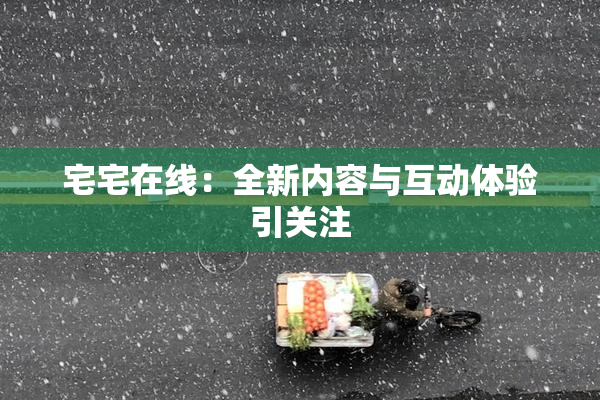 宅宅在线：全新内容与互动体验引关注