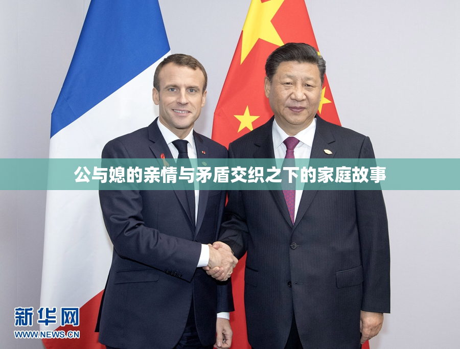公与媳的亲情与矛盾交织之下的家庭故事