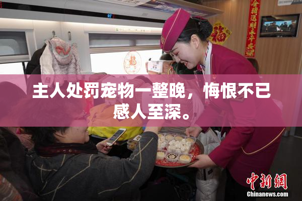 主人处罚宠物一整晚，悔恨不已感人至深。