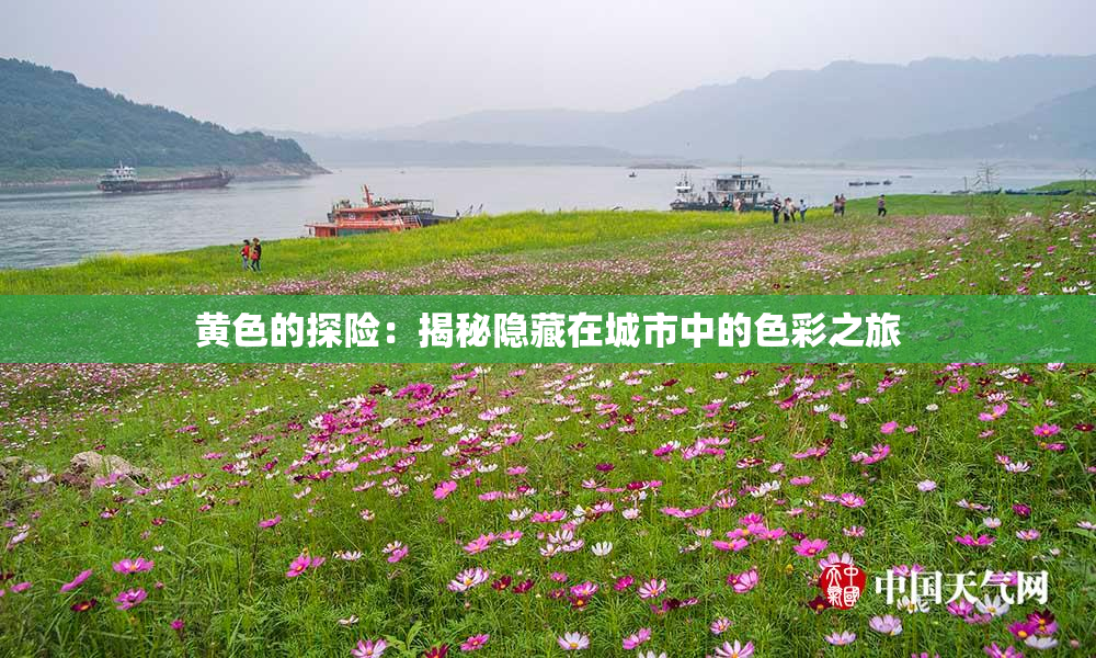 黄色的探险：揭秘隐藏在城市中的色彩之旅