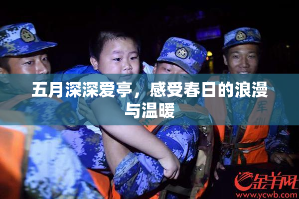 五月深深爱亭，感受春日的浪漫与温暖