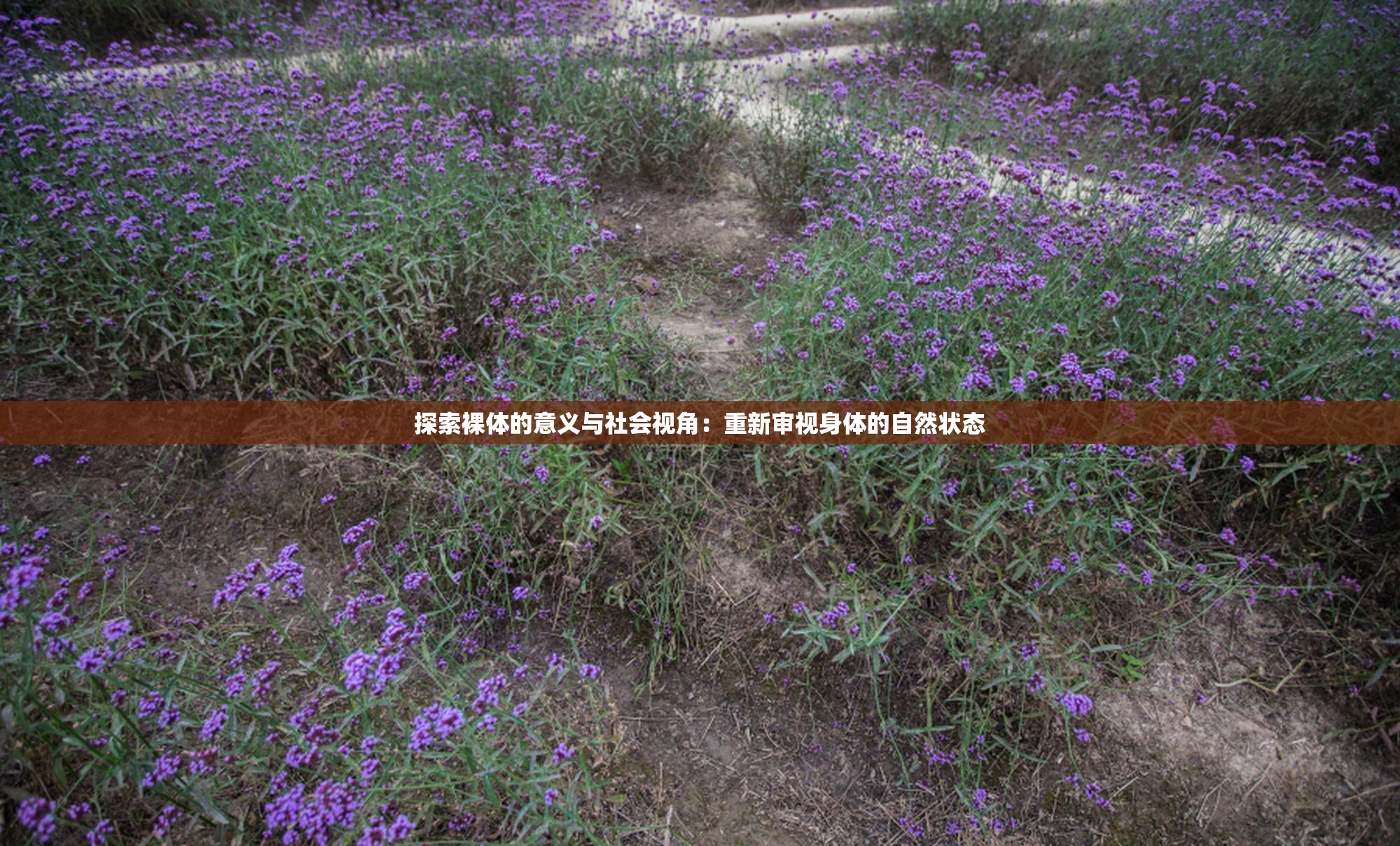 探索裸体的意义与社会视角：重新审视身体的自然状态