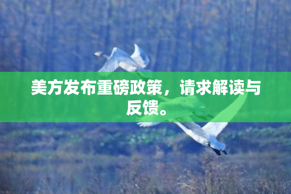 美方发布重磅政策，请求解读与反馈。