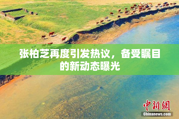张柏芝再度引发热议，备受瞩目的新动态曝光
