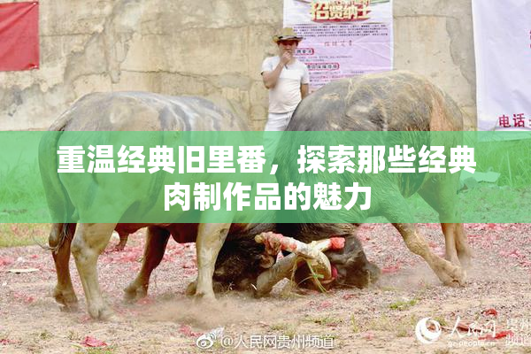 重温经典旧里番，探索那些经典肉制作品的魅力