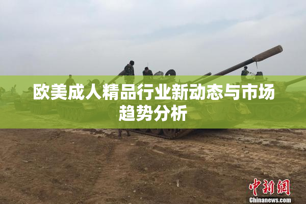 欧美成人精品行业新动态与市场趋势分析