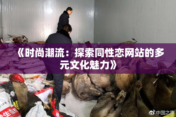 《时尚潮流：探索同性恋网站的多元文化魅力》