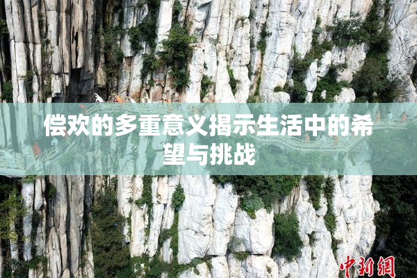 偿欢的多重意义揭示生活中的希望与挑战