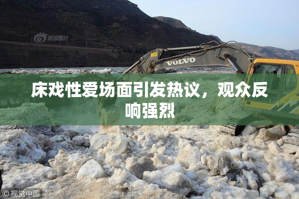 床戏性爱场面引发热议，观众反响强烈