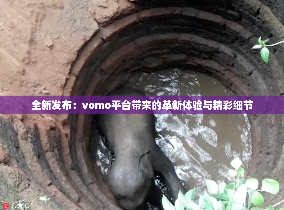 全新发布：vomo平台带来的革新体验与精彩细节