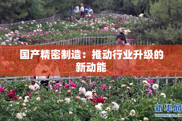 国产精密制造：推动行业升级的新动能