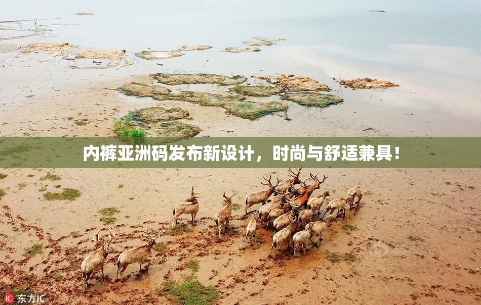 内裤亚洲码发布新设计，时尚与舒适兼具！
