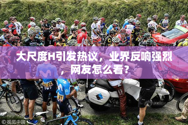 大尺度H引发热议，业界反响强烈，网友怎么看？